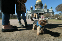 Сенатор Косачев считает важным вовлекать ветеранов СВО в воспитание детей