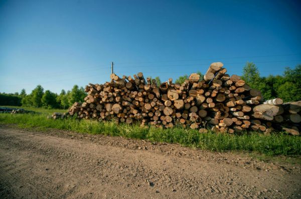Леспромхозы могут получить право заготавливать древесину для граждан