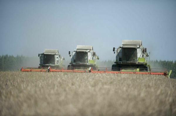 На льготные кредиты аграриям выделят более 10 млрд рублей