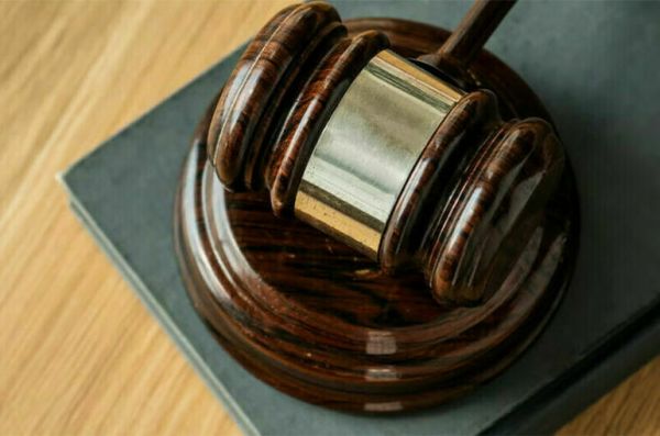 Прекращено уголовное дело о жестоком обращении с котом Твиксом