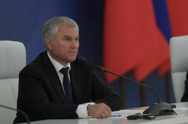 Володин: Юристы вносят значимый вклад в защиту конституционных прав и свобод