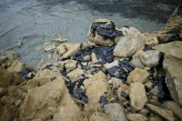 Депутат Белик: В заявлениях Трампа четко прослеживаются имперские амбиции