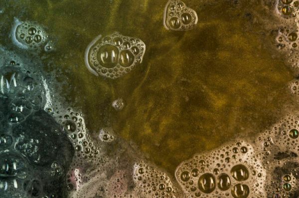 На пляжах Анапы зафиксировали повторные выбросы мазута