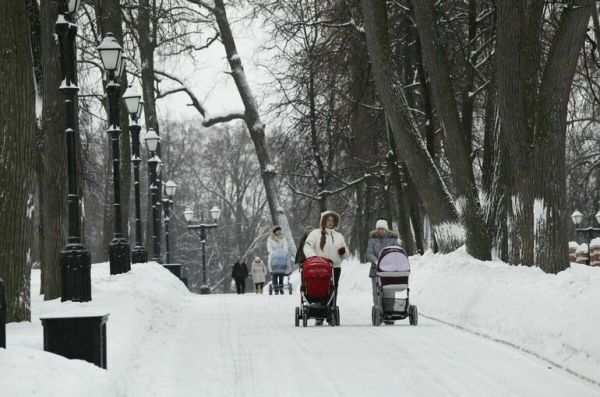 Вильфанд предрек возвращение зимних морозов в марте Вильфанд предрек возвращение зимних морозов в марте