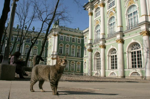 Петербуржцам пообещали меньше осадков и больше солнца на выходных