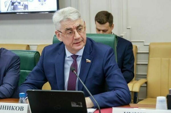 Сенатор Калашников призвал разработать программу развития судоходства по Амуру