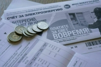 Сенатор Митин считает, что нужно разобраться в вопросе наценок на цветы