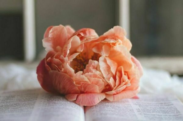 В Петербурге впервые выпустили парфюмированную праздничную прессу