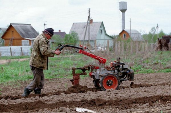 В России предложили выплачивать пособие за ведение домашнего хозяйства