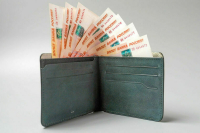 Золотой стандарт поможет укрепить институт многодетных семей