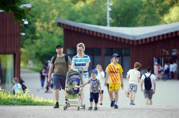 Золотой стандарт поможет укрепить институт многодетных семей