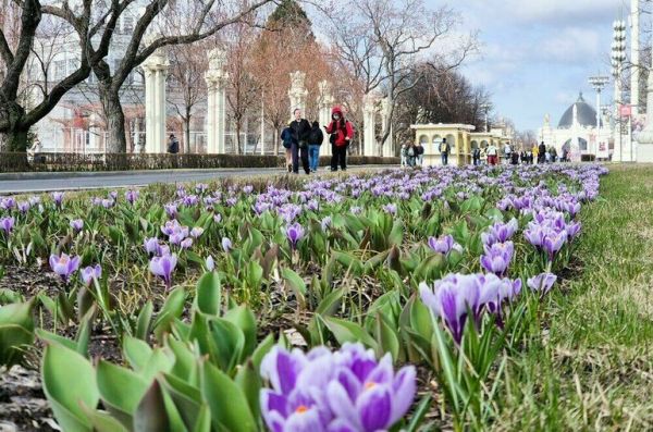 Москвичам спрогнозировали постепенное потепление с выходных