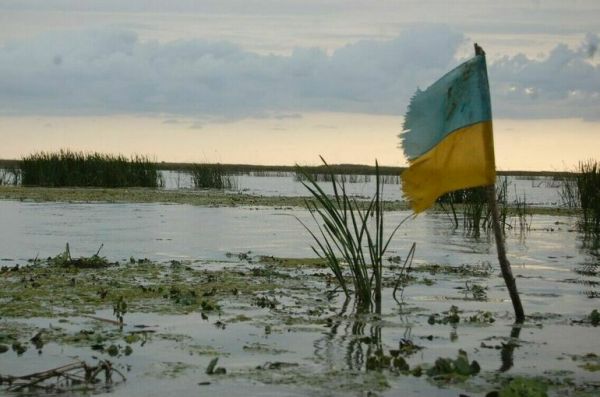 Украинских военкомов без боевого опыта отправят на фронт