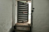 Синоптик: Лето в Петербурге будет по температуре чуть ниже или около нормы