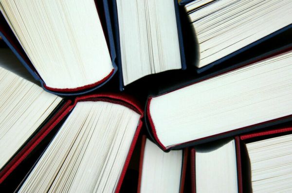 Потребности школьных библиотек в новых книгах оценят к осени