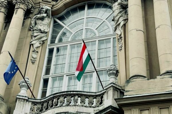 Социолог считает, что Украина попробует повлиять на выборы в Венгрии