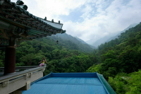 Полиция заранее узнает о концертах и фестивалях