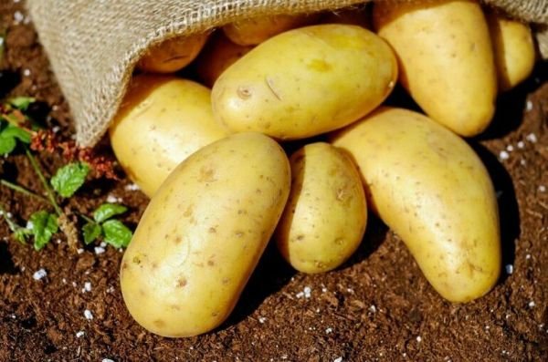 Россия впервые за девять месяцев не ввезла картофель из Грузии