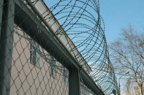 Двоих российских спортсменов арестовали за мошенничество на 11 млн рублей