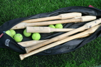 Симуляторы и кино с искусственным интеллектом: как будут развивать национальные виды спорта