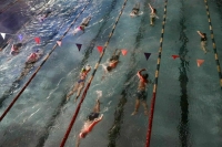 Срок давности для нарушений в сфере кинопроката намерены продлить Срок давности для нарушений в сфере кинопроката намерены продлить