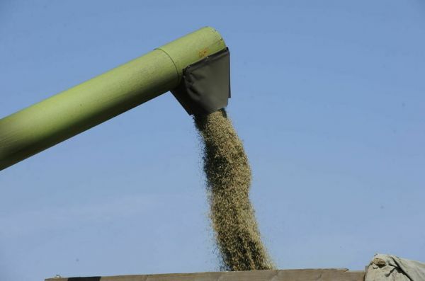 СВР: Армения хочет отказаться от российского зерна в пользу украинского