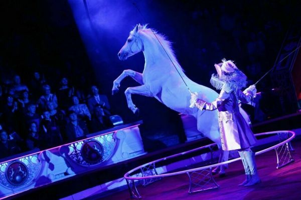 Максим Никулин: Наши артисты во всем мире выходят на манеж с российскими флагами