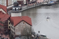 Экс-депутат от АдГ о новых правилах выезда из Германии: Страшно, что скрыли и откуда взяли