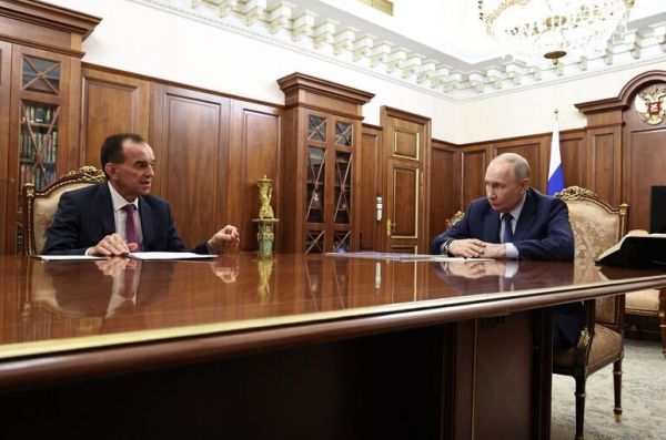 Кондратьев доложил Путину об увеличении числа виноградников на Кубани