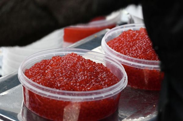 МВД ужесточает борьбу с браконьерством рыбы и икры