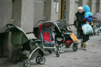 Автономным учреждениям хотят разрешить заготовку дров на землях государства