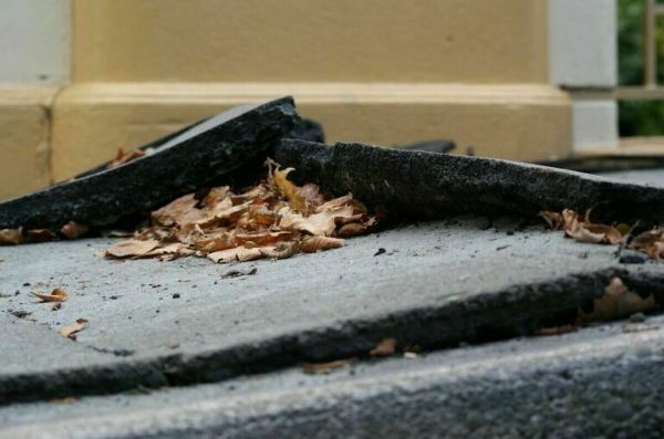 Число жертв землетрясений в Японии достигло 55