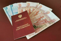 Депутат Скрозникова предложила включить в &laquo;Пушкинскую карту&raquo; стендап и КВН