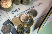 Депутат Занко предложила ввести льготные проездные на месяц в Петербурге