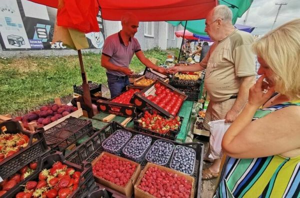 Депутаты предложили подстегнуть развитие сферы торговых палаток и ларьков Депутаты предложили подстегнуть развитие сферы торговых палаток и ларьков
