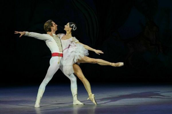 Драпеко предложила объявить аукцион по продаже билетов на &laquo;Щелкунчик&raquo;