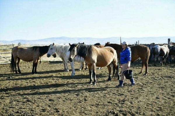 Фермерский бизнес внесут в реестр индивидуальных предпринимателей