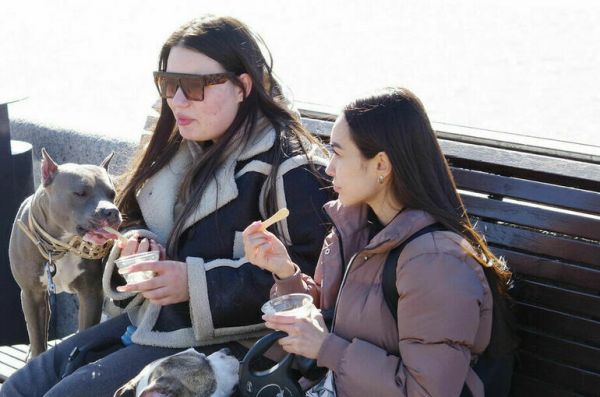 Хамзаев предложил ограничить содержание алкоголя в мороженом до 0,5%