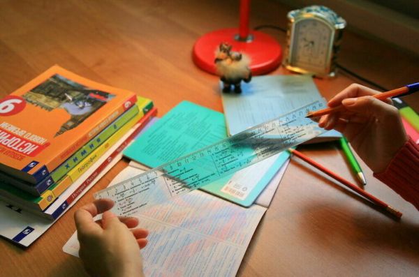 Кочевые дошкольные группы откроют в России в 2024 году