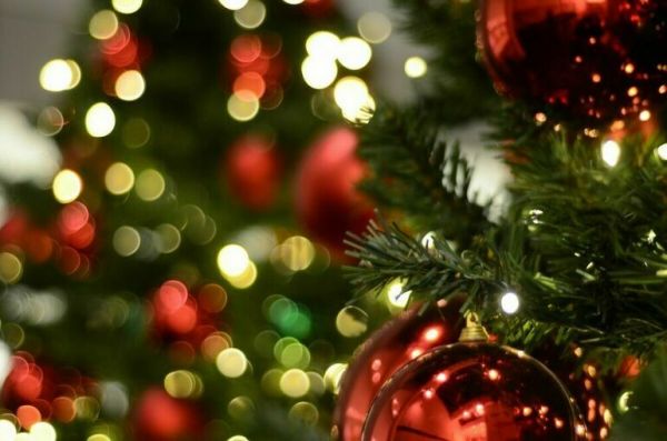 Лантратова предложила снизить НДС на елочные игрушки.