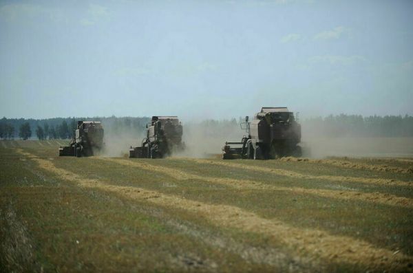 На сельское хозяйство из бюджета планируют выделить 26 млрд рублей