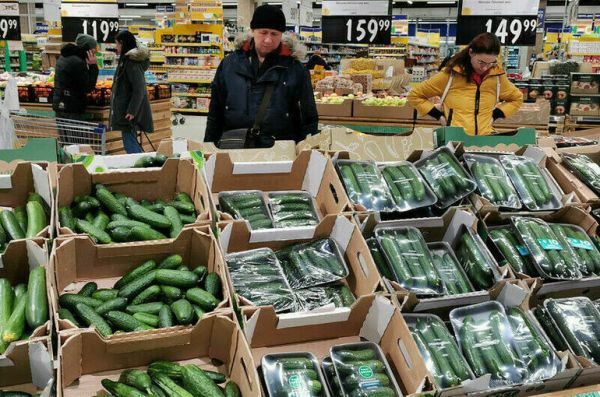 Огурцы за неделю в РФ в среднем подорожали более чем на 10%