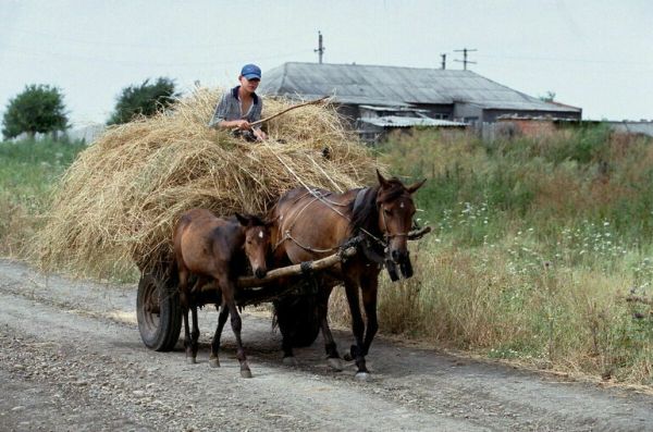 Плотников: На развитие села хотят добавить 26,4 миллиарда рублей