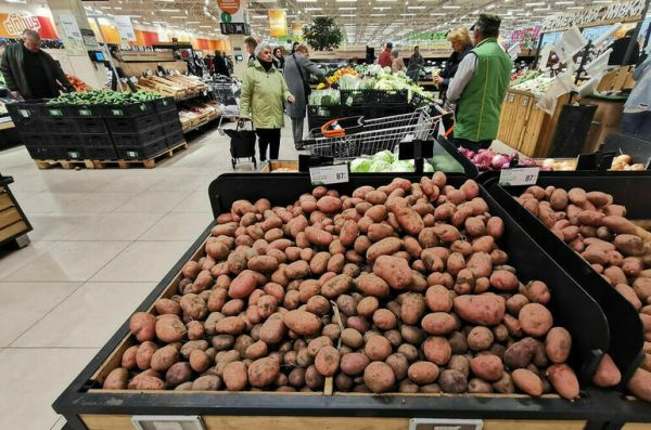 Пострадавшие от ВСУ производители картофеля получат господдерку