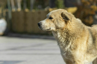 Санитарные требования к бассейнам и салонам красоты предложили уточнить