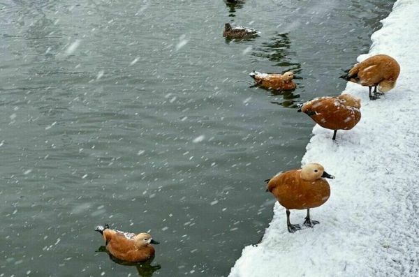 Синоптик назвал барическим &laquo;дном&raquo; уровень атмосферного давления в Москве
