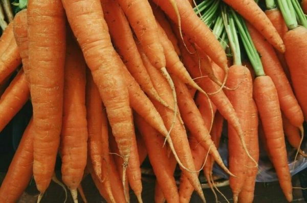 В аграрных вузах будут готовить производителей органики