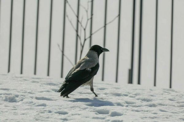 В Москве выпало 35% от месячной нормы осадков