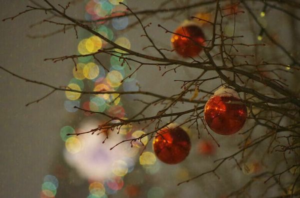 В МВД предупреждают о новой схеме мошенничества с билетами на елки