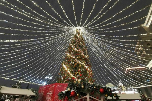 В предновогоднюю неделю москвичей ждет &laquo;мягкая зима&raquo;